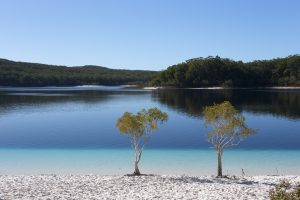 Lake-McKenzie-K'gari-Fraser-Island-Australia-image
