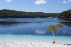 Lake-McKenzie-K'gari-Fraser-Island-Australia-image