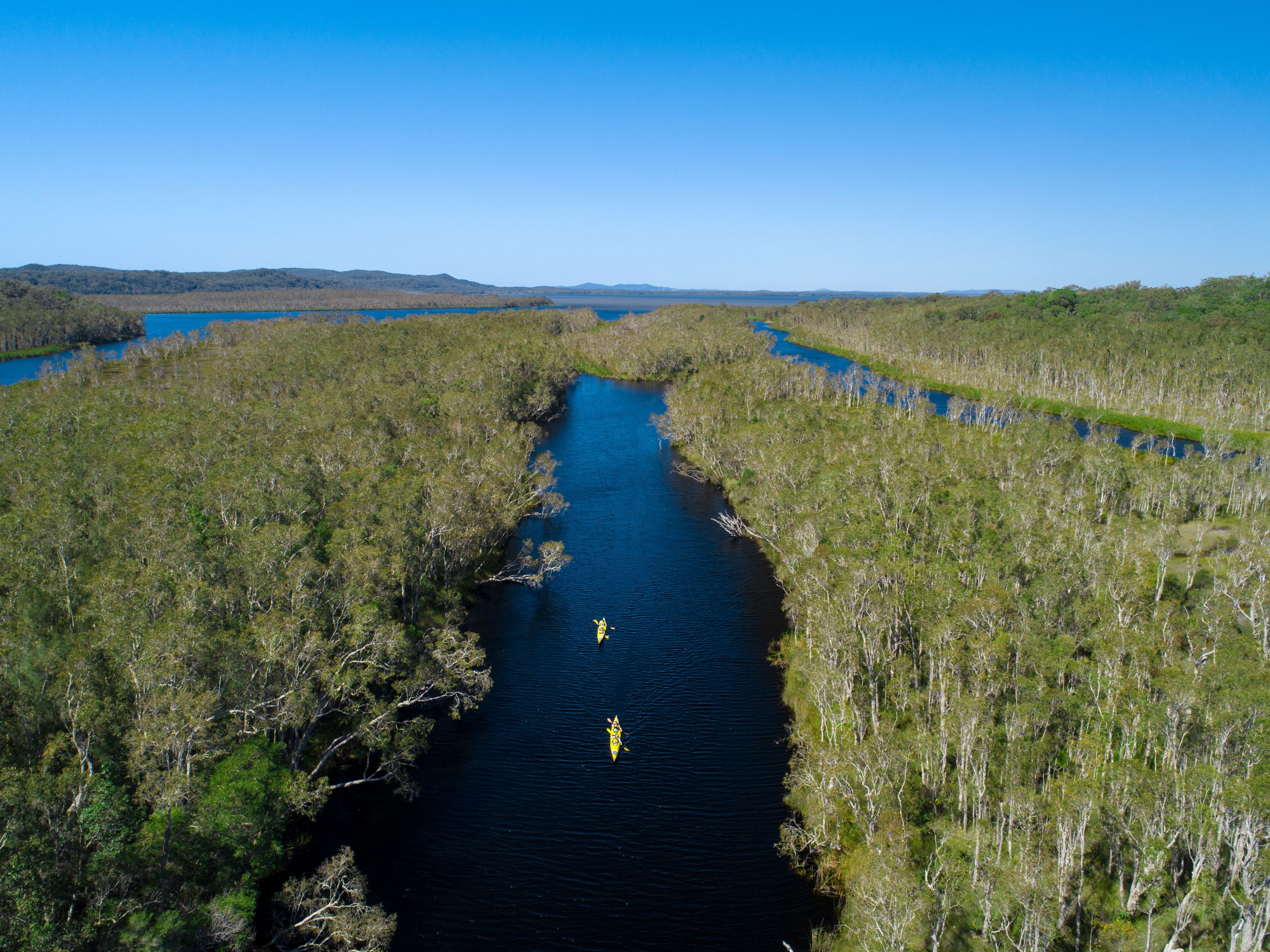 Noosa-Everglades-Kayak-Australia-image