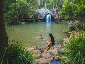 Waterfall-Kondalilla-National-Park-Sunshine-Coast-Hinterland-Australia-image