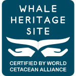 whale-heritage-site-hervey-bay-australia-logo